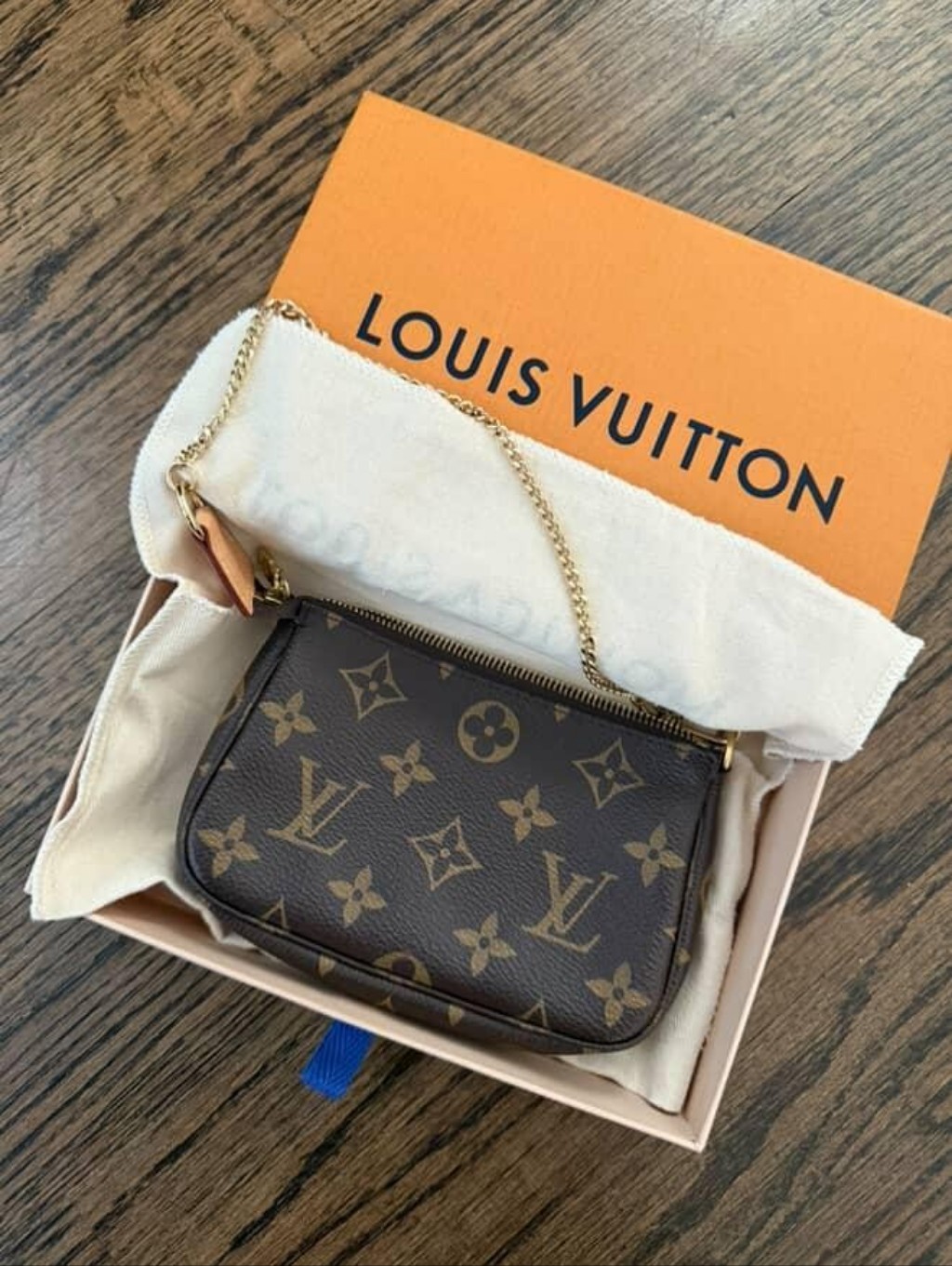 Louis Vuitton Monogram Mini Bag In Brown With Gold Chain